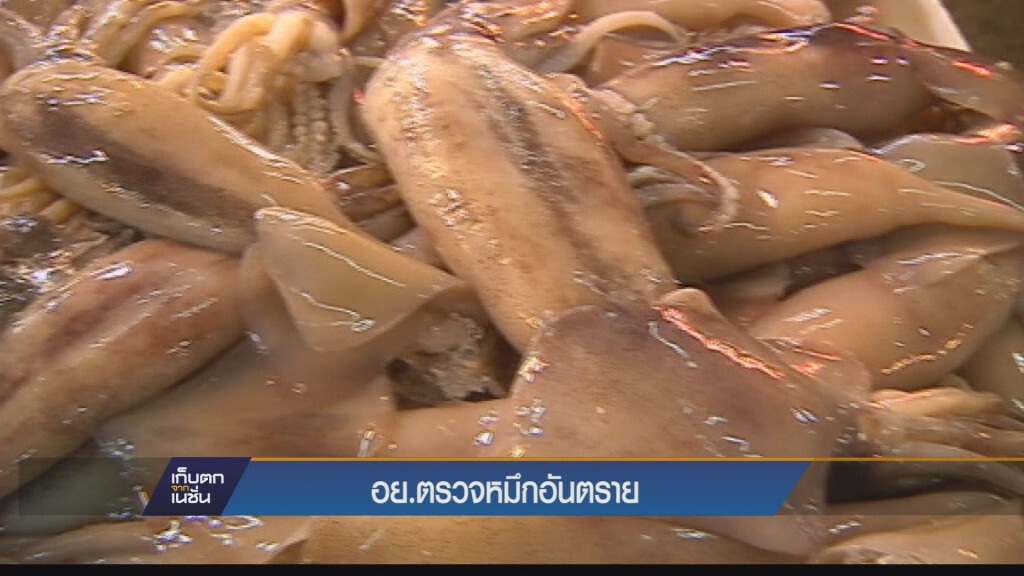 สสจ.สกลฯยันไม่พบ“ปลาหมึกสายวงน้ำเงิน”ในแหล่งอาหาร