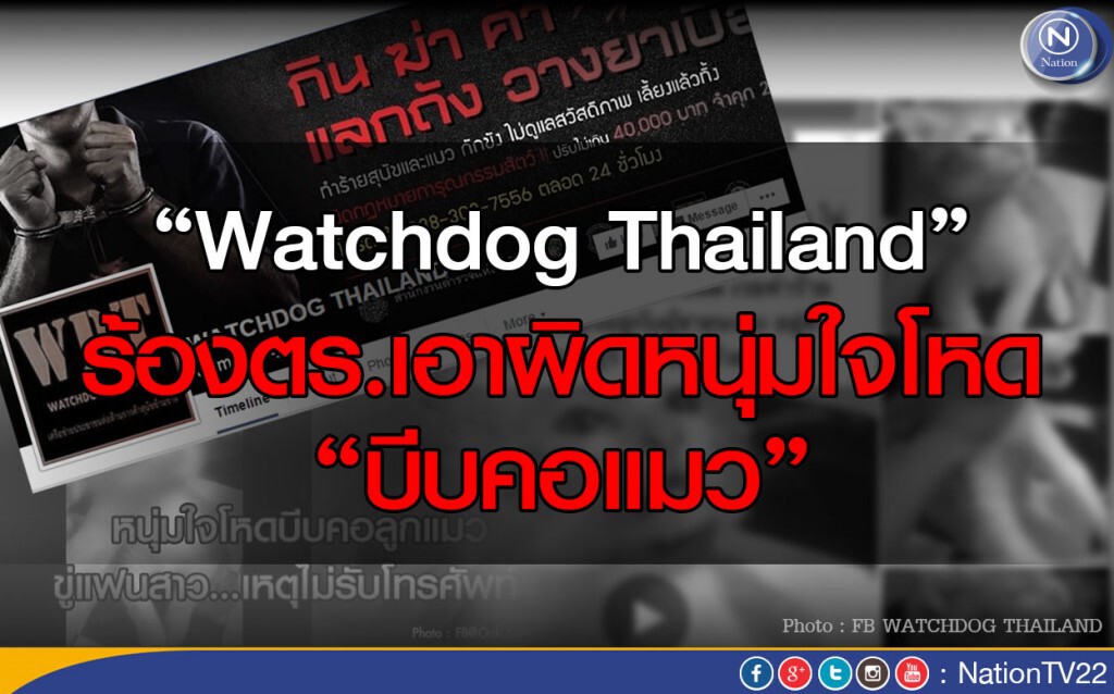 "Watchdog Thailand" ร้องตร.เอาผิดหนุ่มใจโหดบีบคอแมว "Watchdog Thailand" ร้องตร.เอาผิดหนุ่มใจโหดบีบคอแมว