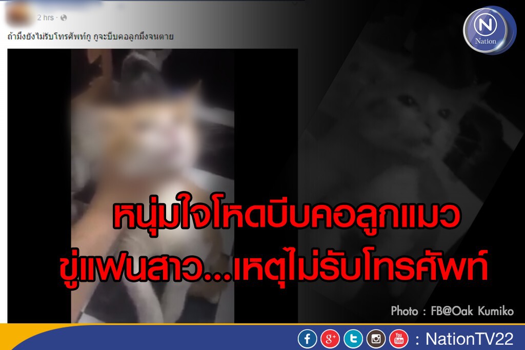 หนุ่มใจโหดโพสต์คลิป"บีบคอลูกแมว" ขู่แฟนสาว...เหตุไม่รับโทรศัพท์ ก่อนลบทิ้ง หนุ่มใจโหดโพสต์คลิป"บีบคอลูกแมว" ขู่แฟนสาว...เหตุไม่รับโทรศัพท์ ก่อนลบทิ้ง