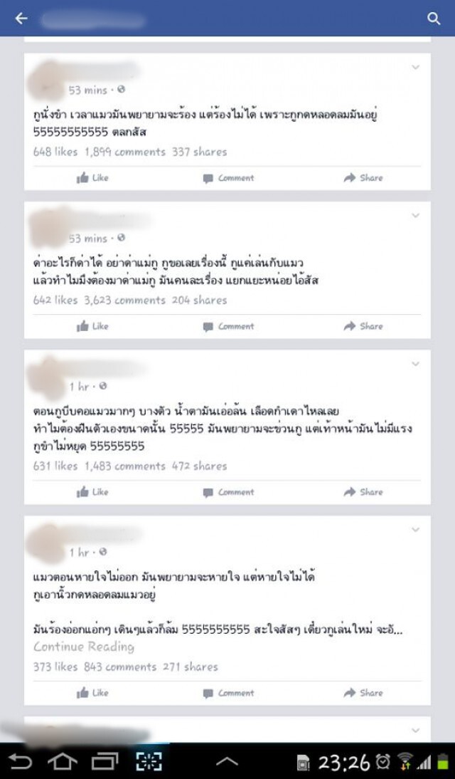 หนุ่มใจโหดโพสต์คลิป"บีบคอลูกแมว"  ขู่แฟนสาว...เหตุไม่รับโทรศัพท์ ก่อนลบทิ้ง
