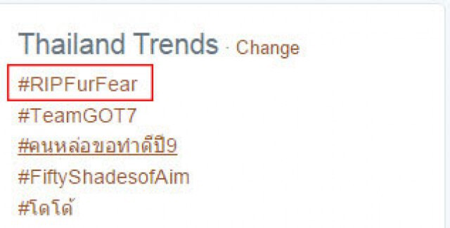 แฟนคลับติดแท๊ก #RIPfurfear อาลัย "บันนี่เฟียร์" นางแบบเพลย์บอย
หลังประสบอุบัติเหตุเสียชีวิต