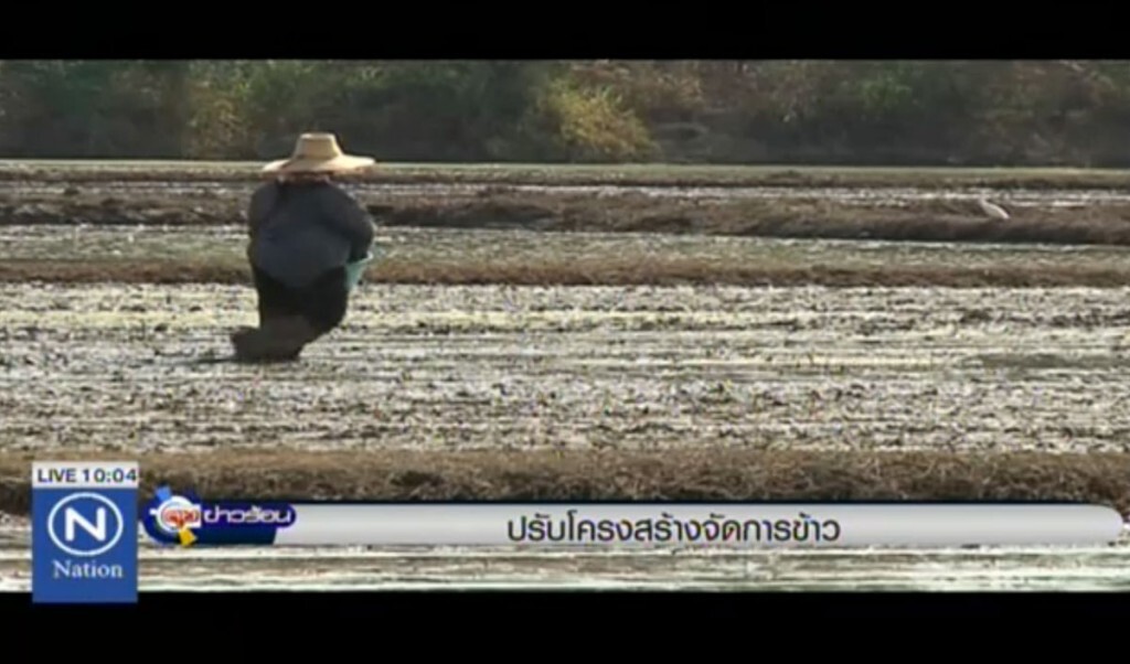 พาณิชย์ปรับโครงสร้างจัดการข้าว