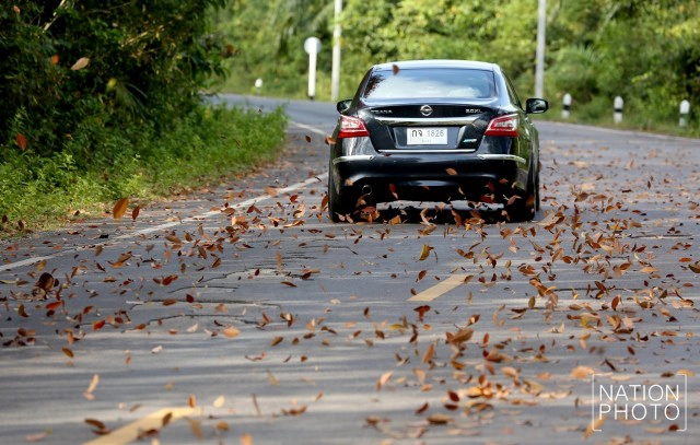 สวยไม่แพ้ที่อื่น! ใบยางพาราสีแดงเข้ม เรียงรายตามถนน