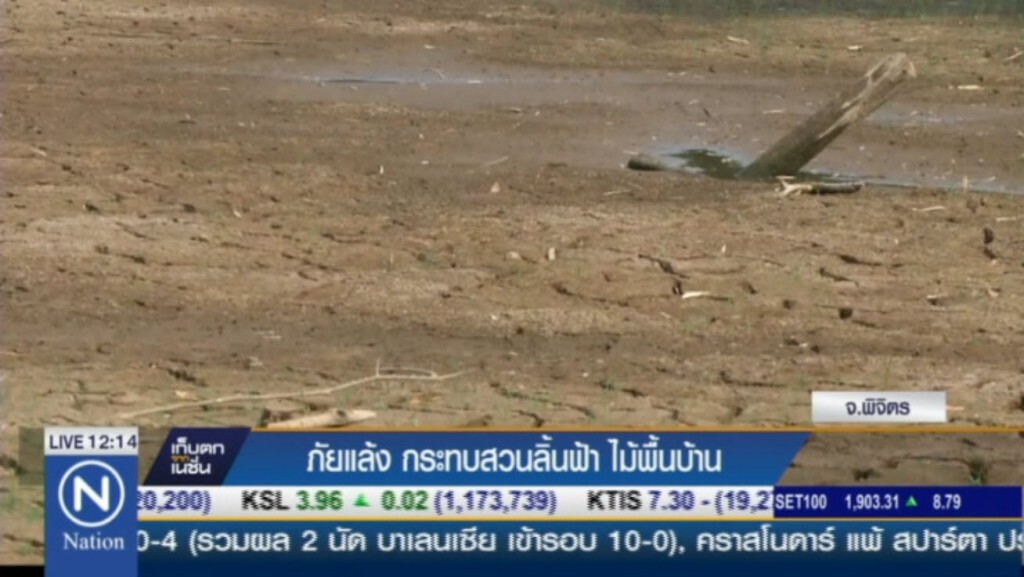 ภัยแล้ง กระทบสวนลิ้นฟ้า ไม้พื้นบ้าน ภัยแล้ง กระทบสวนลิ้นฟ้า ไม้พื้นบ้าน