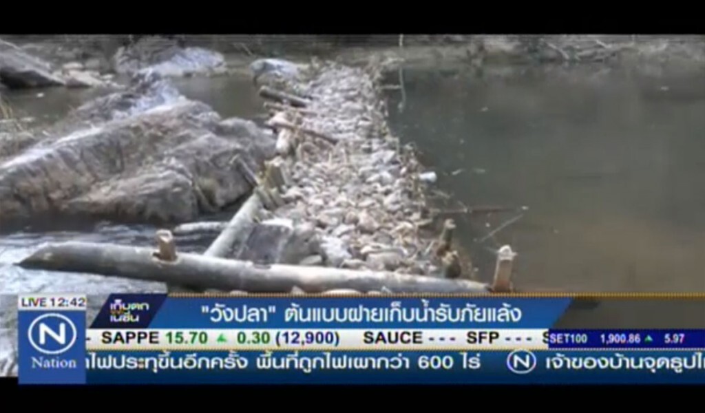 "วังปลา" ต้นแบบฝายเก็บน้ำธรรมชาติ รับภัยแล้ง "วังปลา" ต้นแบบฝายเก็บน้ำธรรมชาติ รับภัยแล้ง