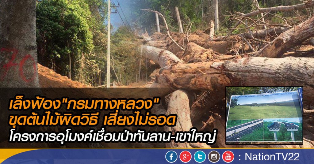 เล็งฟ้องกรมทางหลวง"ขุดต้นไม้ผิดวิธี" โครงการอุโมงค์เชื่อมป่าทับลาน-เขาใหญ่