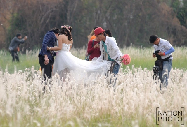 สวยงาม! คนแห่เที่ยว "ทุ่งดอกหญ้าคา"