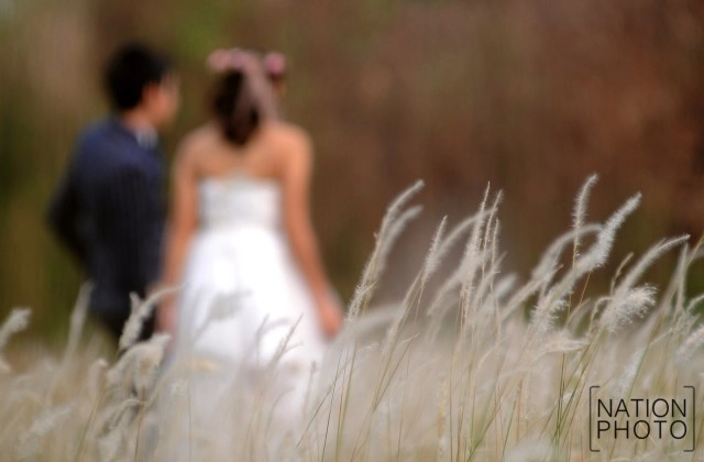 สวยงาม! คนแห่เที่ยว "ทุ่งดอกหญ้าคา"