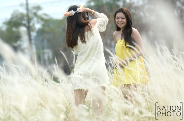 สวยงาม! คนแห่เที่ยว "ทุ่งดอกหญ้าคา"