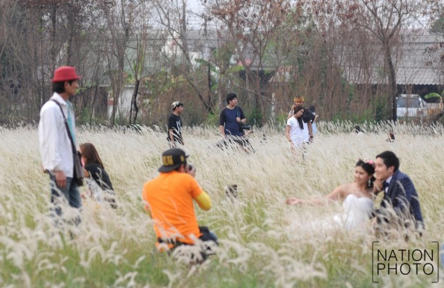 สวยงาม! คนแห่เที่ยว "ทุ่งดอกหญ้าคา"