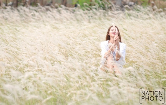 สวยงาม! คนแห่เที่ยว "ทุ่งดอกหญ้าคา"