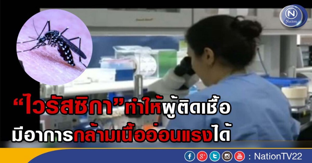 ไวรัสซิกา ทำให้กล้ามเนื้ออ่อนแรงได้ ไวรัสซิกา ทำให้กล้ามเนื้ออ่อนแรงได้
