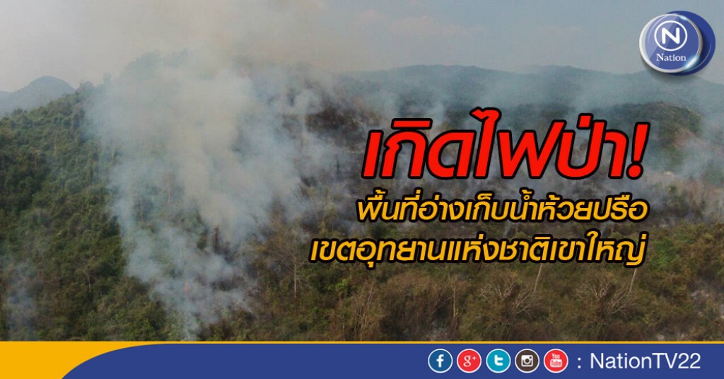 เกิดไฟป่า! พื้นที่อ่างเก็บน้ำห้วยปรือ เขตอุทยานแห่งชาติเขาใหญ่ เกิดไฟป่า! พื้นที่อ่างเก็บน้ำห้วยปรือ เขตอุทยานแห่งชาติเขาใหญ่