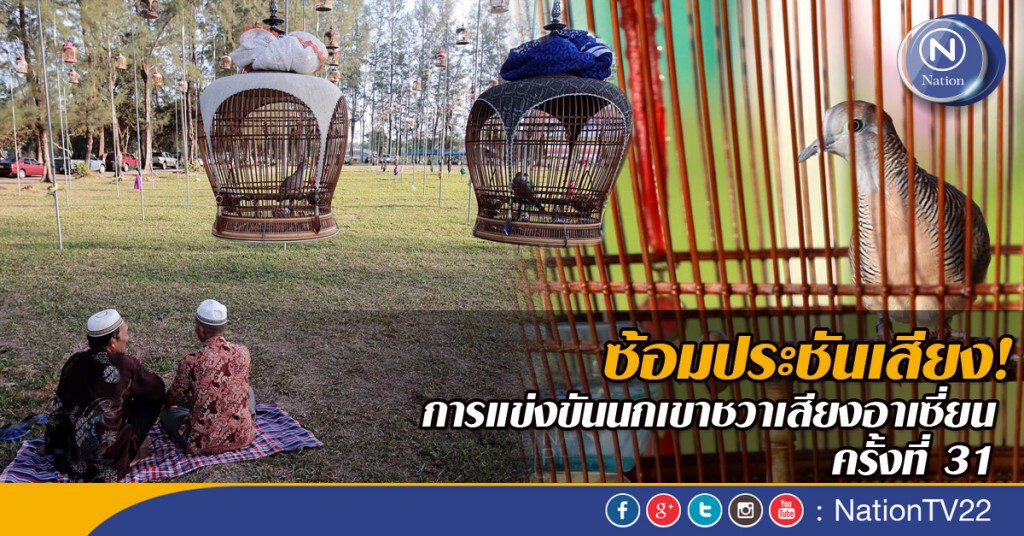 ซ้อมประชันเสียง! การแข่งขันนกเขาชวาเสียงอาเซี่ยน ครั้งที่ 31 ซ้อมประชันเสียง! การแข่งขันนกเขาชวาเสียงอาเซี่ยน ครั้งที่ 31