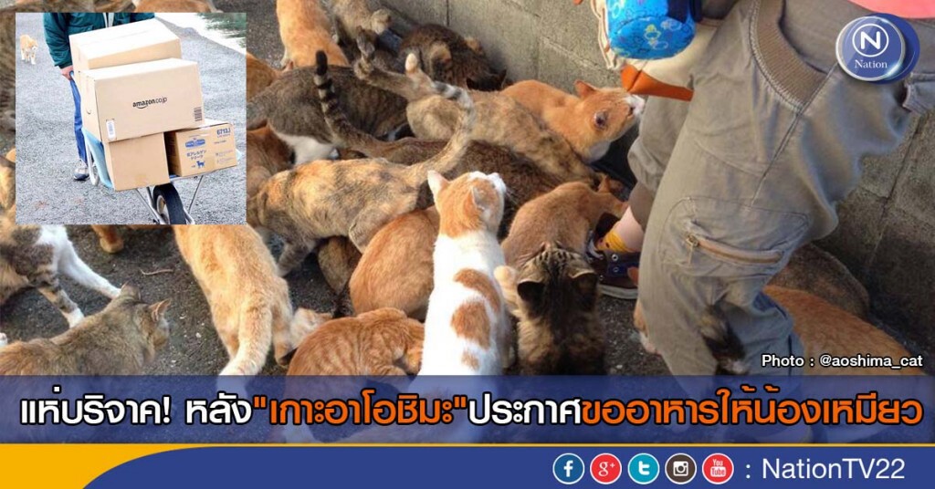 แห่บริจาค! หลัง"เกาะอาโอชิมะ"ประกาศขออาหารให้น้องเหมียว แห่บริจาค! หลัง"เกาะอาโอชิมะ"ประกาศขออาหารให้น้องเหมียว