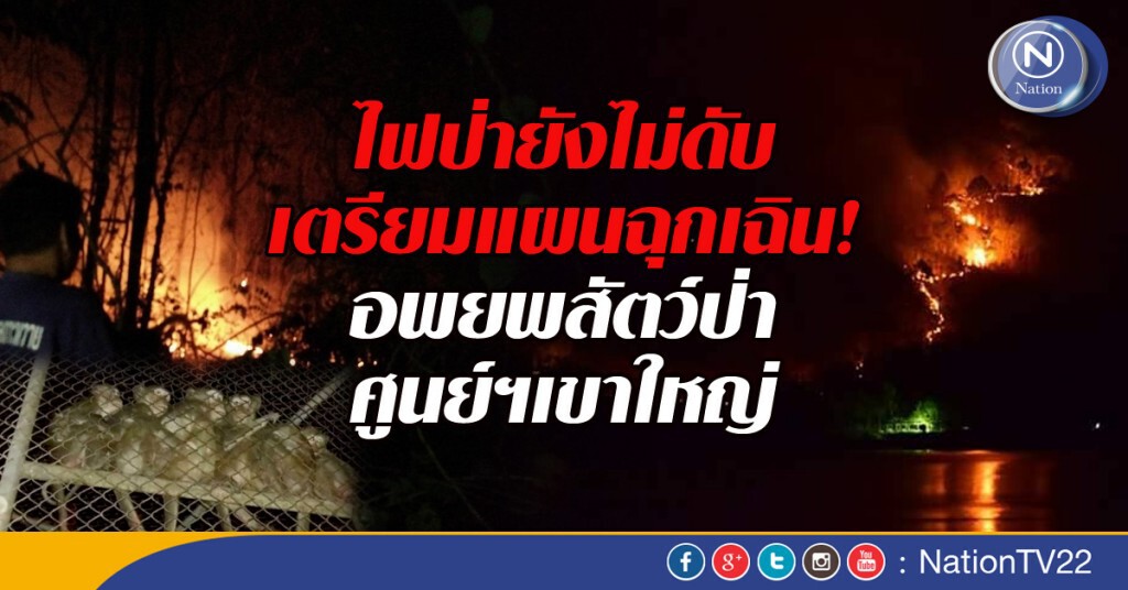 ไฟป่ายังไม่ดับ เตรียมแผนฉุกเฉิน! อพยพสัตว์ป่าศูนย์ฯเขาใหญ่