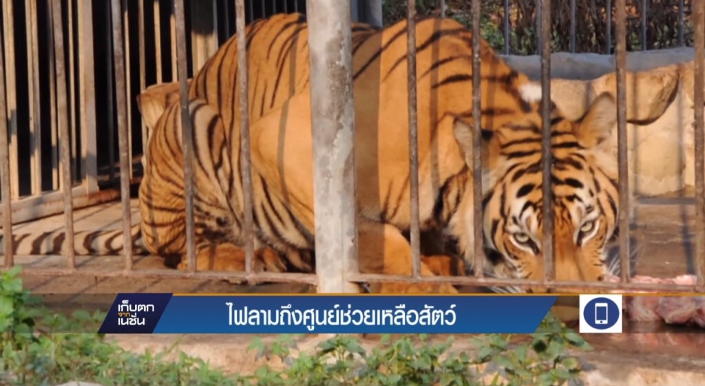 ระดมกำลังป้องกันไฟป่าลุกลาม ระดมกำลังป้องกันไฟป่าลุกลาม