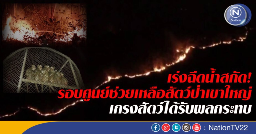 เร่งฉีดน้ำสกัดรอบศูนย์ช่วยเหลือสัตว์ป่าเขาใหญ่ เกรงสัตว์ป่าได้รับผลกระทบ