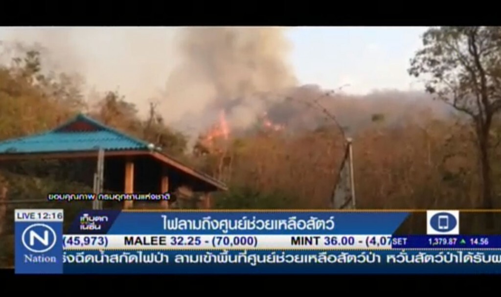 ไฟลามถึงศูนย์ช่วยเหลือสัตว์ ไฟลามถึงศูนย์ช่วยเหลือสัตว์
