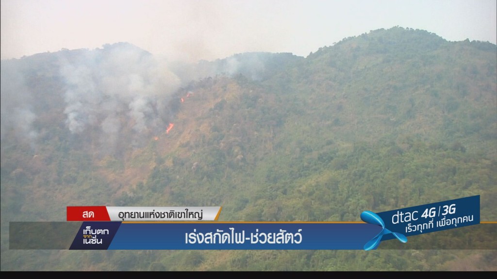 เก็บตกเย็น - ไฟป่าเขาใหญ่ยังวิกฤต