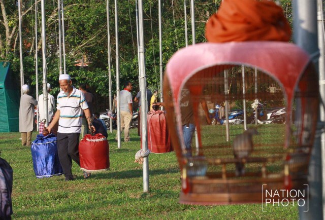 ซ้อมประชันเสียง! การแข่งขันนกเขาชวาเสียงอาเซี่ยน ครั้งที่ 31