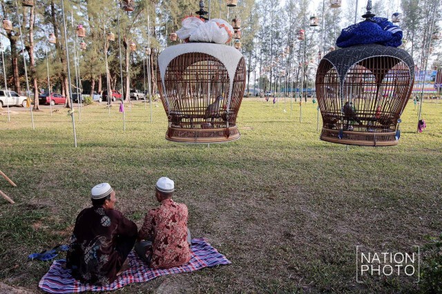 ซ้อมประชันเสียง! การแข่งขันนกเขาชวาเสียงอาเซี่ยน ครั้งที่ 31