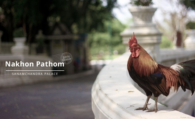 Gotography : นครปฐม เมืองแห่งอารยธรรม