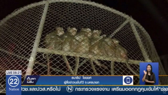 เร่งฉีดน้ำสกัดรอบศูนย์ช่วยเหลือสัตว์ป่าเขาใหญ่ เกรงสัตว์ป่าได้รับผลกระทบ