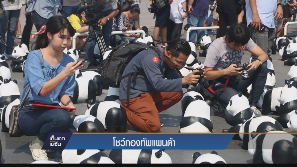 เก็บตกค่ำ - โชว์กองทัพแพนด้า
