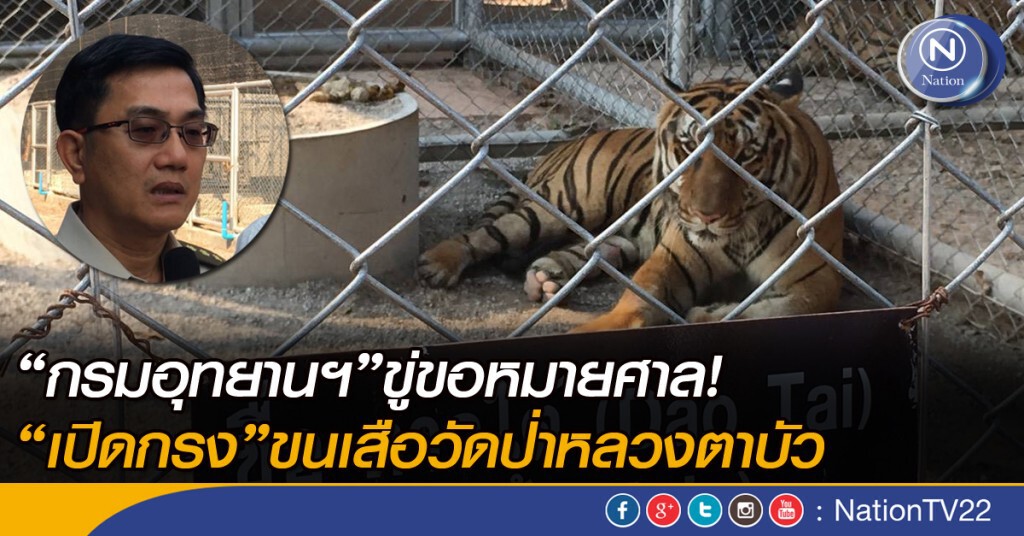 กรมอุทยานฯขู่ขอหมายศาล เปิดกรงขนเสือวัดป่าหลวงตาบัว