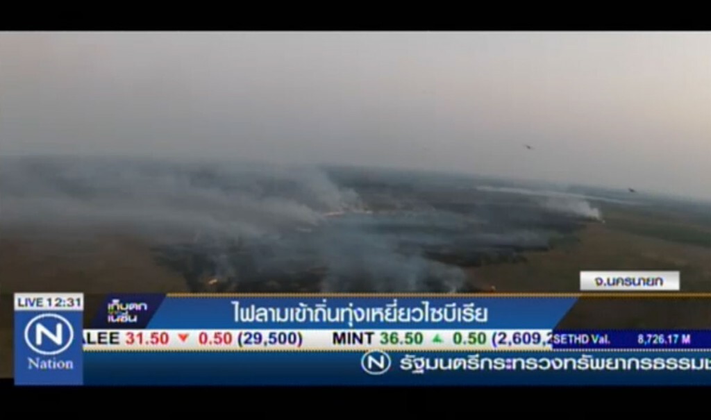 ไฟลามเข้าถิ่นทุ่งเหยี่ยวไซบีเรีย ไฟลามเข้าถิ่นทุ่งเหยี่ยวไซบีเรีย