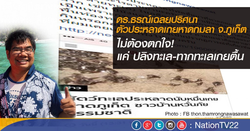 ดร.ธรณ์ เฉลยปริศนา "ตัวประหลาดเกยหาดกมลา จ.ภูเก็ต ที่แท้เป็น "ปลิงทะเล-ทากทะเล" เกยตื้น ดร.ธรณ์ เฉลยปริศนา "ตัวประหลาดเกยหาดกมลา จ.ภูเก็ต ที่แท้เป็น "ปลิงทะเล-ทากทะเล" เกยตื้น