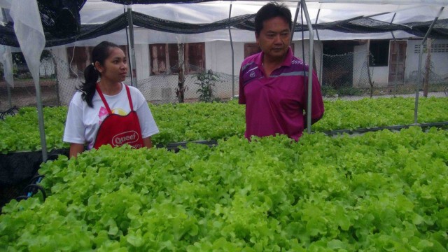 อดีตสารวัตร หักเหชีวิตมาเป็นเกษตรกรปลูกผักไฮโดรโปนิกส์