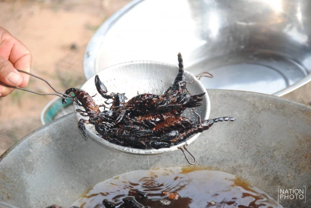 ภัยแล้งขยายวง ชาวบ้านออกขุดหาแมงป่องขาย