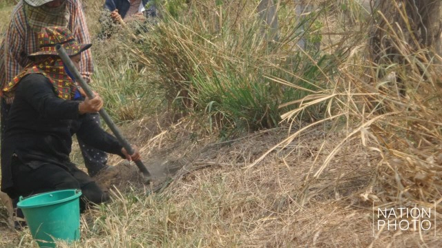 ภัยแล้งขยายวง ชาวบ้านออกขุดหาแมงป่องขาย