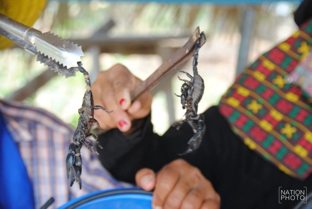 ภัยแล้งขยายวง ชาวบ้านออกขุดหาแมงป่องขาย