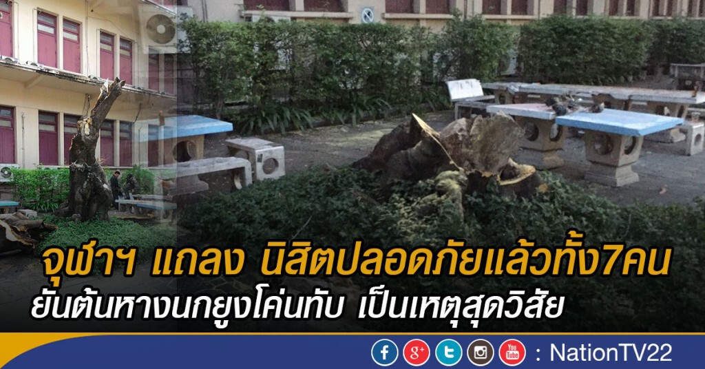จุฬาฯ แถลง นิสิตปลอดภัยแล้วทั้ง7คน
ยันต้นหางนกยูงโค่นทับ เป็นเหตุสุดวิสัย จุฬาฯ แถลง นิสิตปลอดภัยแล้วทั้ง7คน
ยันต้นหางนกยูงโค่นทับ เป็นเหตุสุดวิสัย