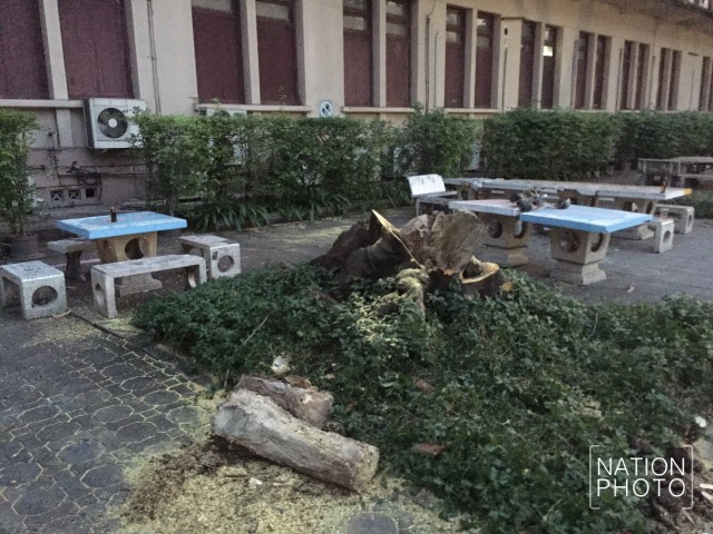 จุฬาฯ แถลง นิสิตปลอดภัยแล้วทั้ง7คน
ยันต้นหางนกยูงโค่นทับ เป็นเหตุสุดวิสัย