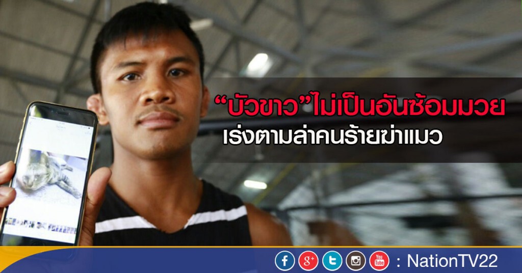 “บัวขาว”ไม่เป็นอันซ้อมมวย เร่งตามล่าคนร้ายฆ่าแมว “บัวขาว”ไม่เป็นอันซ้อมมวย เร่งตามล่าคนร้ายฆ่าแมว