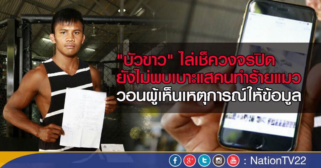 "บัวขาว" ไล่เช็ควงจรปิด วอนผู้เห็นเหตุการณ์ให้เบาะแสคนทำร้ายแมว "บัวขาว" ไล่เช็ควงจรปิด วอนผู้เห็นเหตุการณ์ให้เบาะแสคนทำร้ายแมว