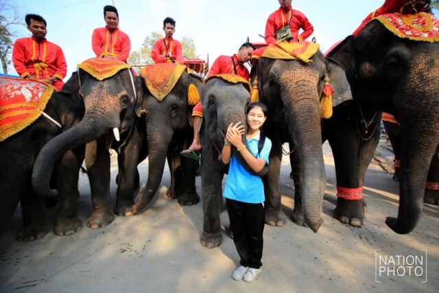 กิจกรรมวันช้างไทย ที่หมู่บ้านช้างเพนียดหลวง