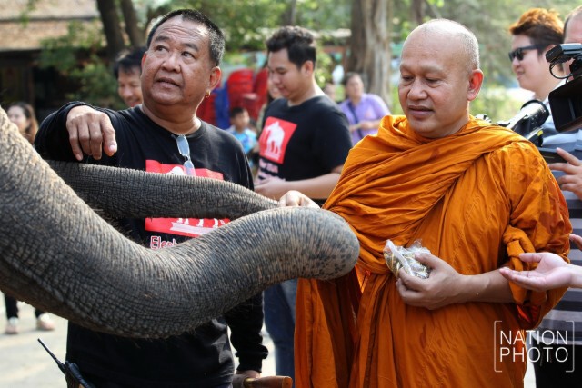 กิจกรรมวันช้างไทย ที่หมู่บ้านช้างเพนียดหลวง