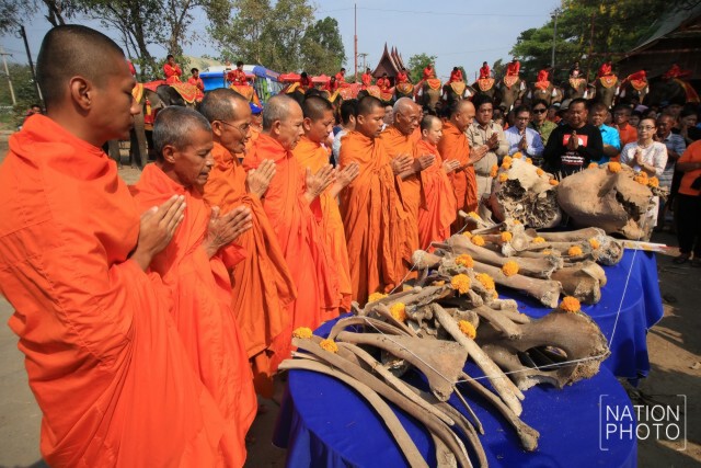 กิจกรรมวันช้างไทย ที่หมู่บ้านช้างเพนียดหลวง