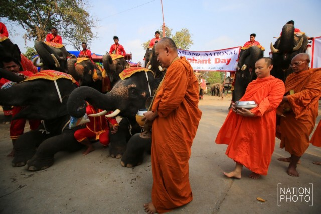 กิจกรรมวันช้างไทย ที่หมู่บ้านช้างเพนียดหลวง
