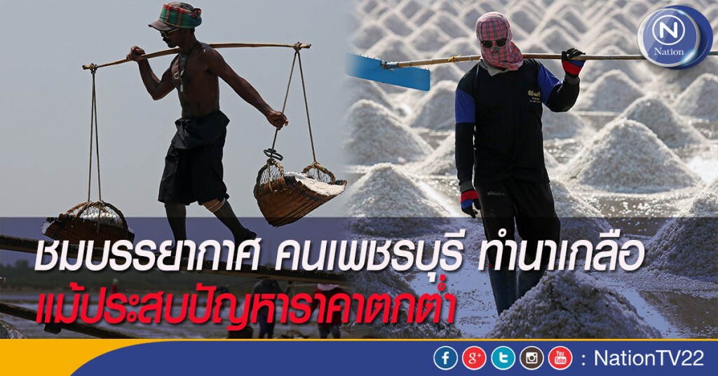 ชมบรรยากาศ คนเพชรบุรี ทำนาเกลือ แม้ประสบปัญหาราคาตกต่ำ ชมบรรยากาศ คนเพชรบุรี ทำนาเกลือ แม้ประสบปัญหาราคาตกต่ำ