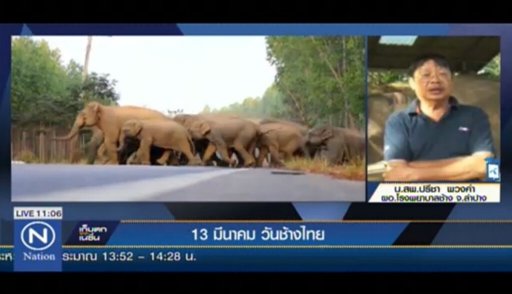 13 มีนาคม วันช้างไทย 13 มีนาคม วันช้างไทย