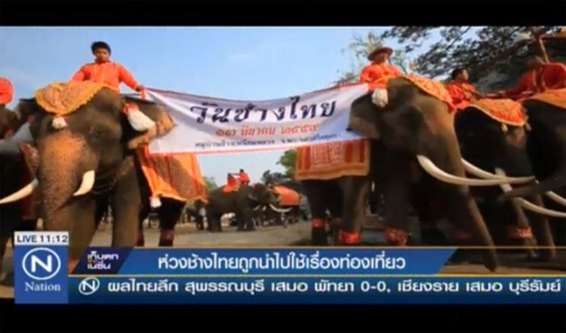 ห่วงช้างไทย ถูกนำไปใช้เรื่องท่องเที่ยว