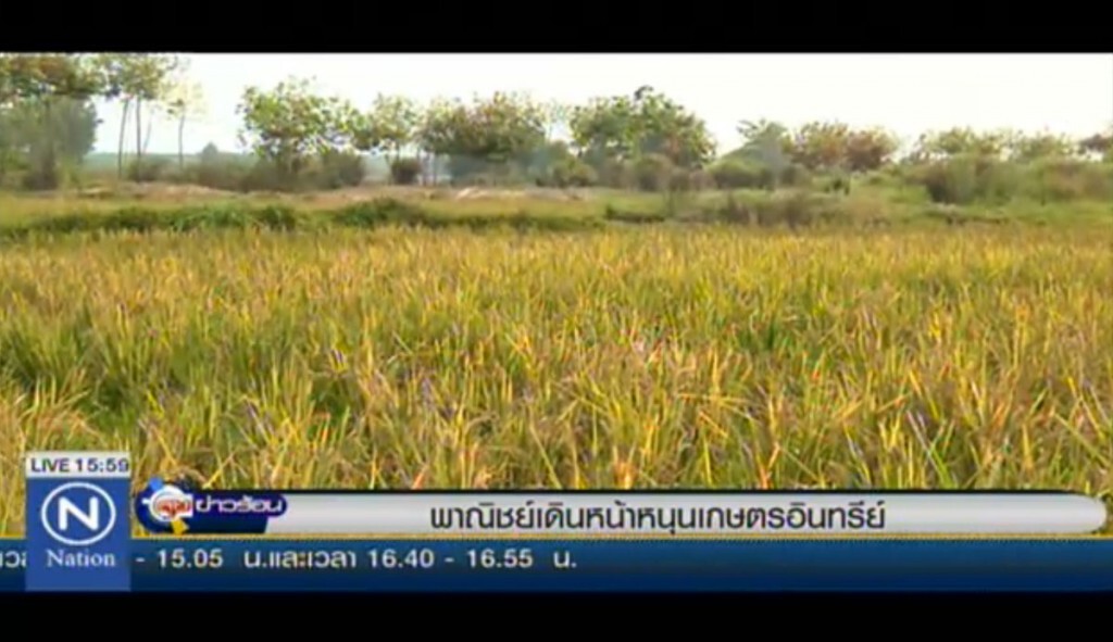 พาณิชย์เดินหน้า หนุนเกษตรอินทรีย์ พาณิชย์เดินหน้า หนุนเกษตรอินทรีย์