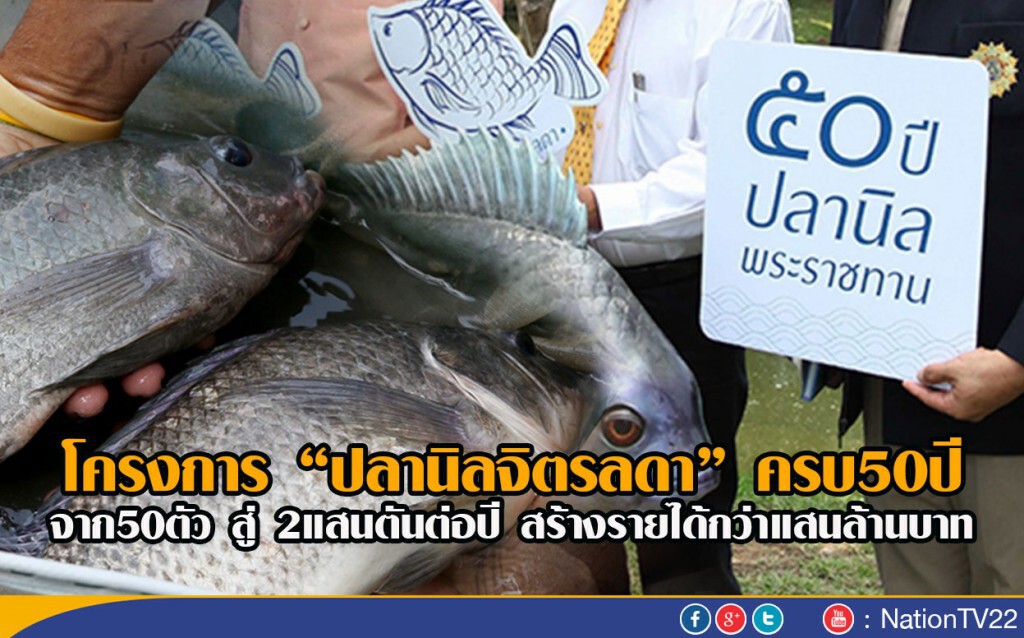 โครงการ"ปลานิลจิตรลดา”ครบ50ปี
จาก50ตัว สู่2แสนตันต่อปี สร้างรายได้กว่าแสนล้านบาท