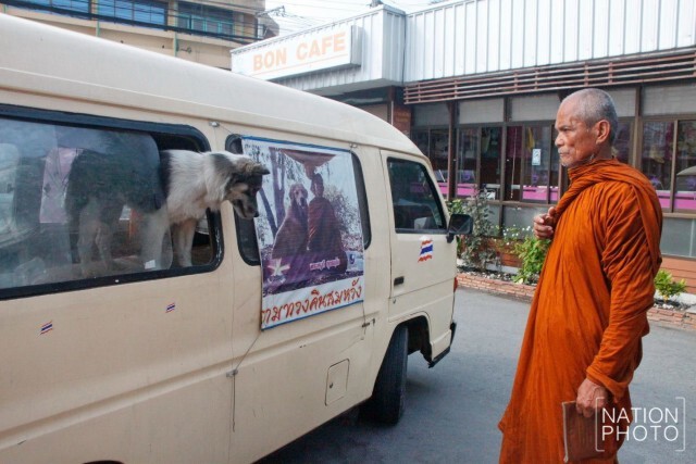 เจ้าอาวาสสุดทน! วอน "พระหนูที" ใช้หมาลากรถเข็น ย้ายชื่อออกจากวัด